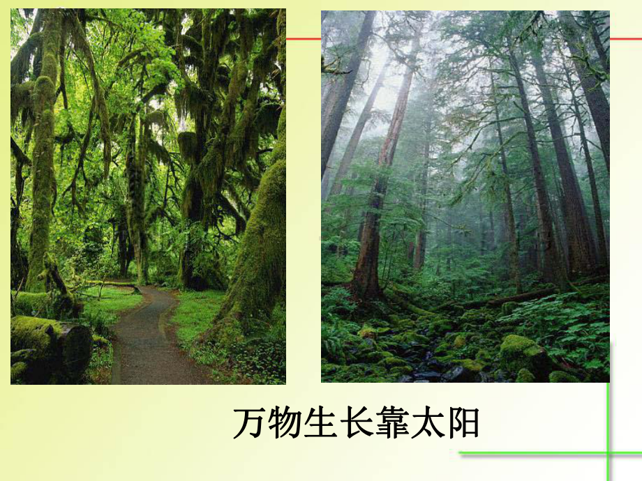 第二节太阳对地球的影响 .ppt_第3页