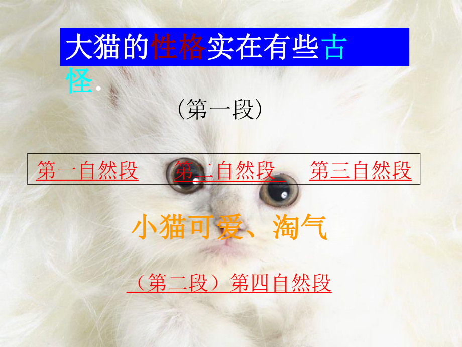 老舍《猫》课件(26页) .ppt_第3页