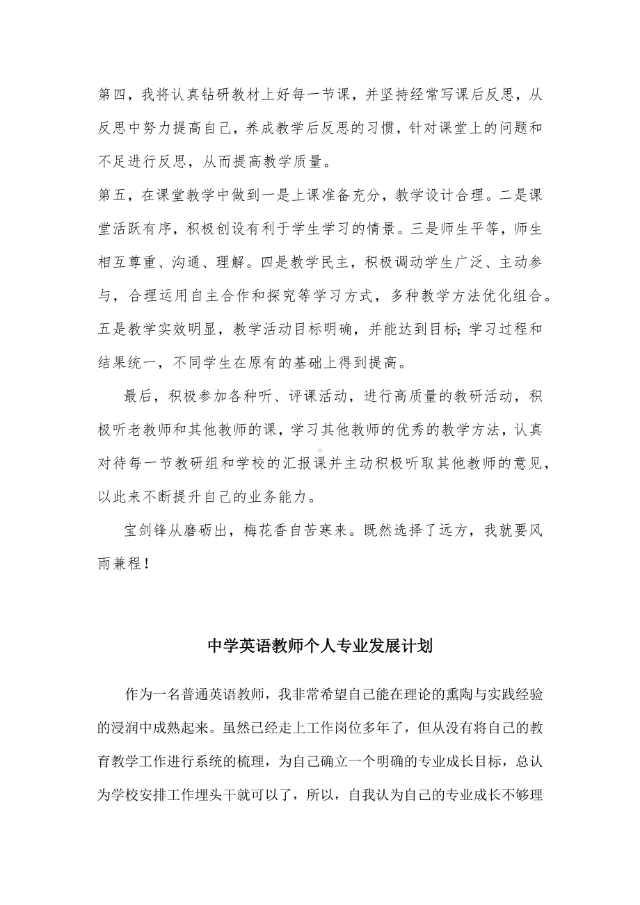 2022年初中英语教师个人专业发展规划.docx_第3页