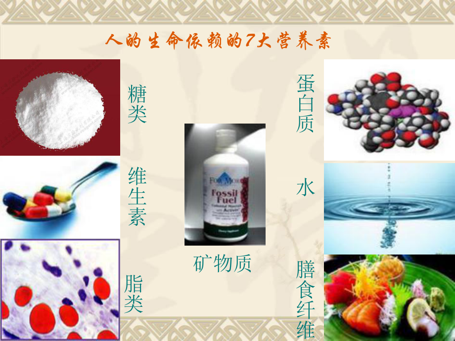 饮食与健康1.ppt_第3页