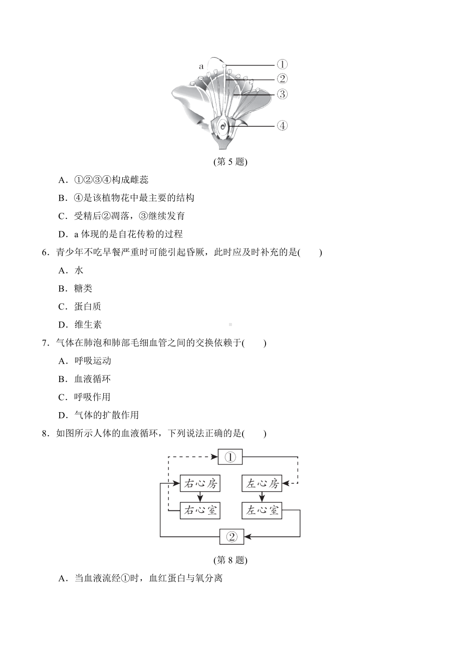 2021年生物中考模拟试卷及答案.doc_第2页