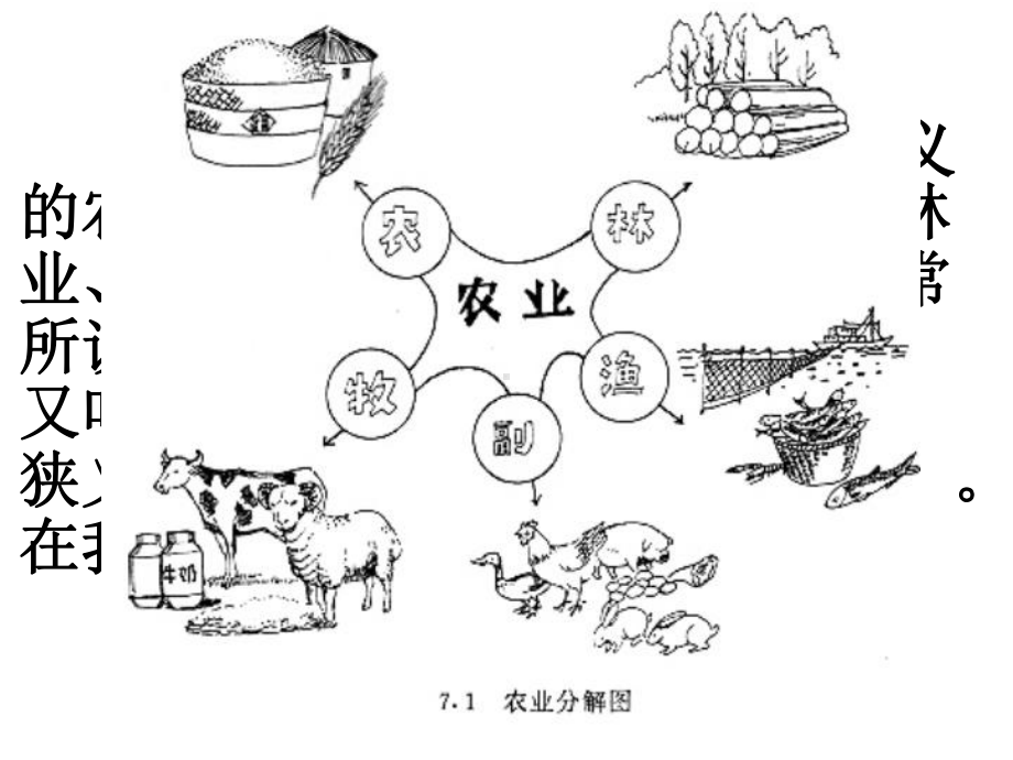 高三地理课件：中国的农业(20124199472445).ppt_第3页