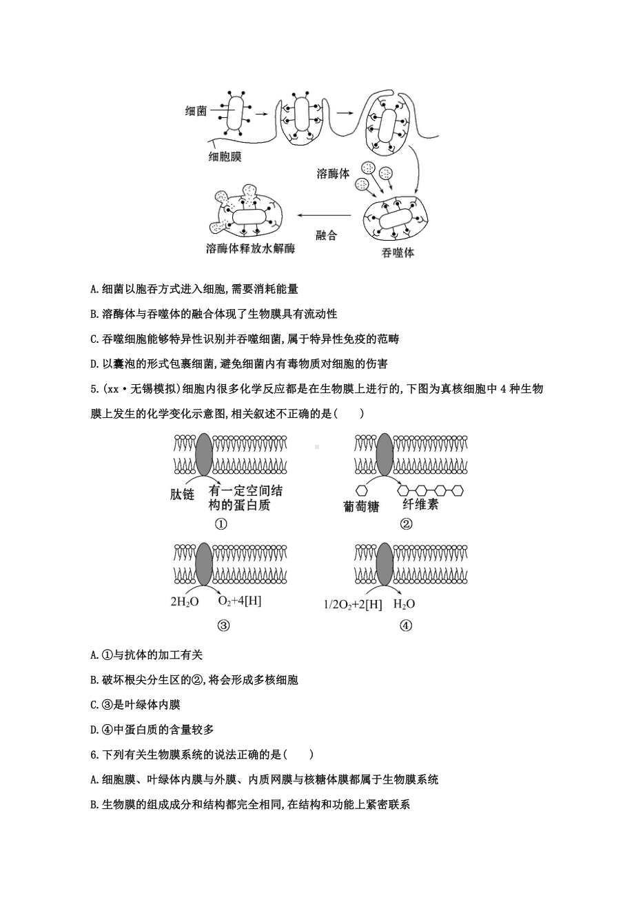 2021年高考生物-细胞器-系统内的分工合作课时作业.doc_第2页