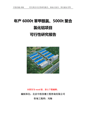 年产6000t苯甲酰氯、5000t聚合氯化铝项目可行性研究报告写作模板立项备案文件.doc