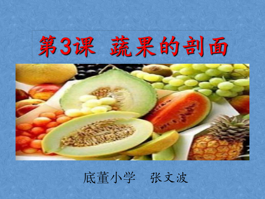 蔬果的剖面.ppt_第2页