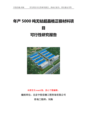 年产5000吨无钴超晶格正极材料项目可行性研究报告写作模板立项备案文件.doc