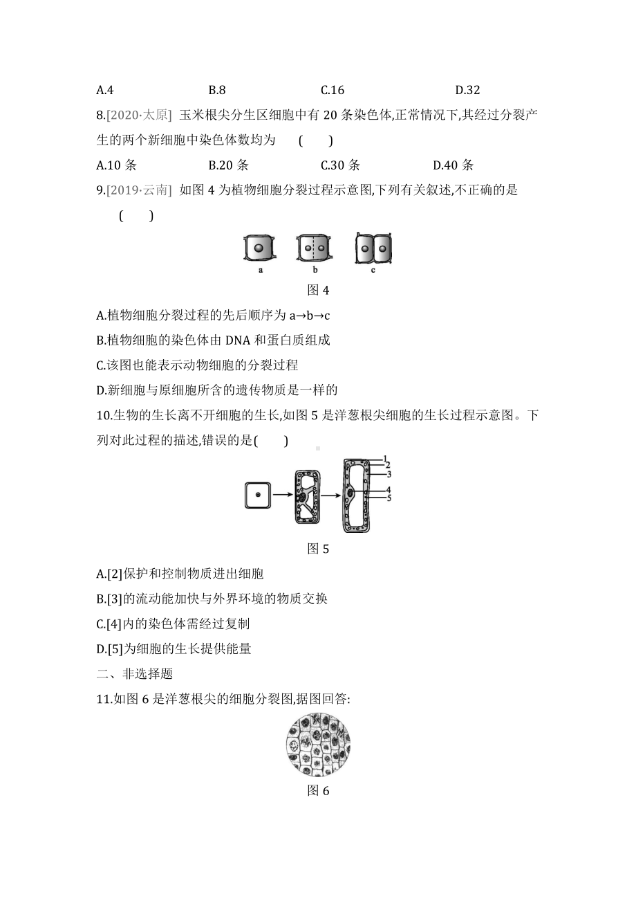 2022人教版生物七年级上册第二单元2.docx_第2页