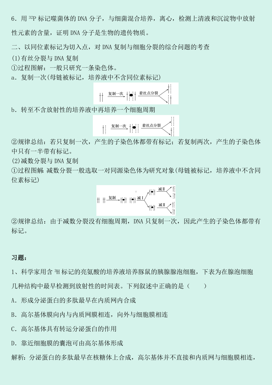 2021年高考生物总复习同位素标记法专题讲解与训练.doc_第2页