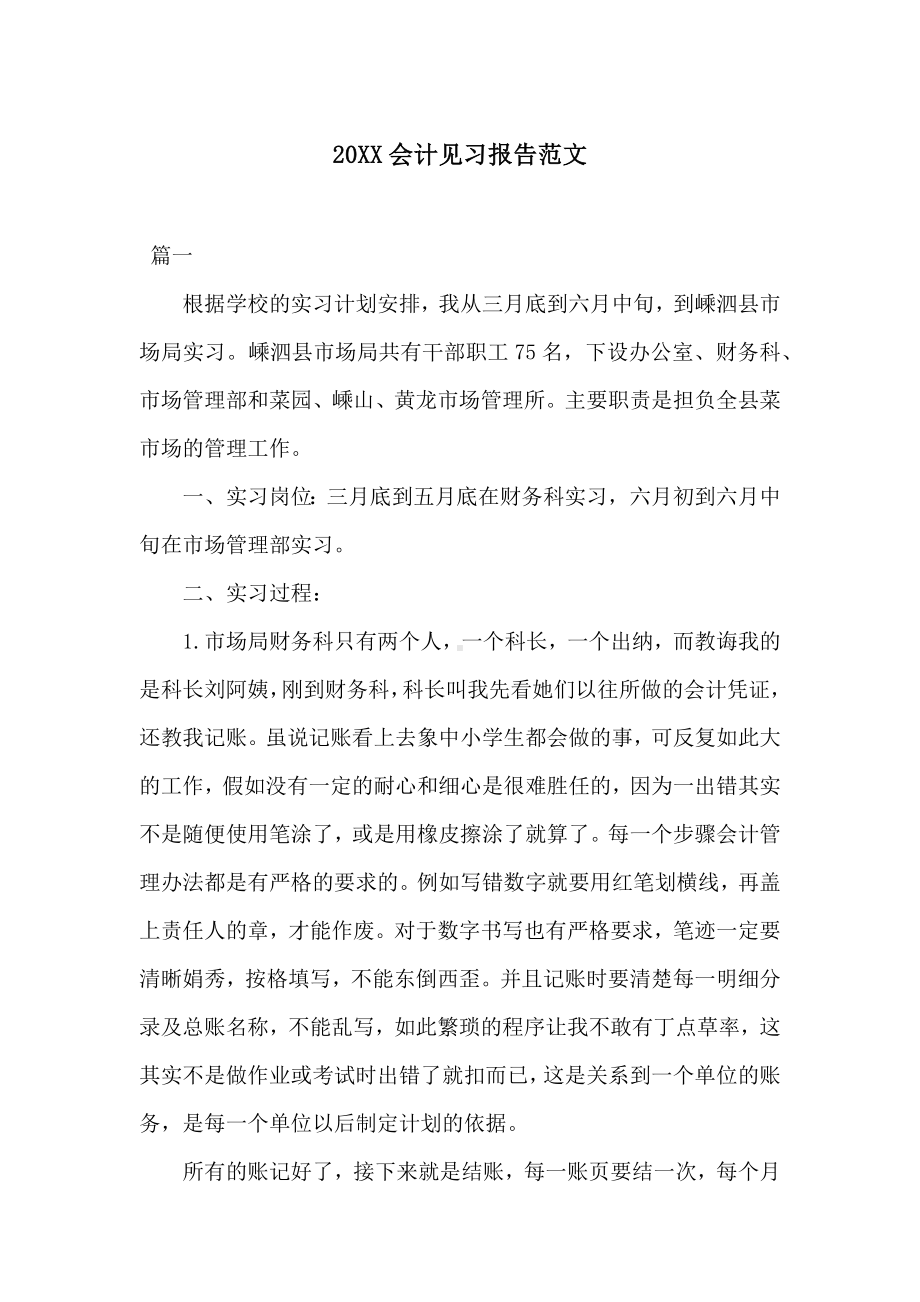 20XX会计见习报告范文.docx_第1页