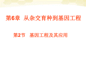 讲课—基因工程及其应用课件 必修2.ppt