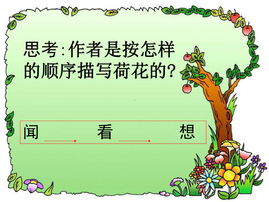 荷花 (11).ppt_第3页