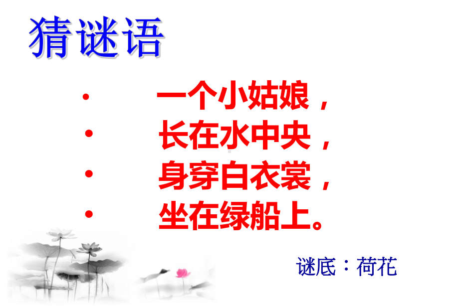 荷花 (12).ppt_第1页