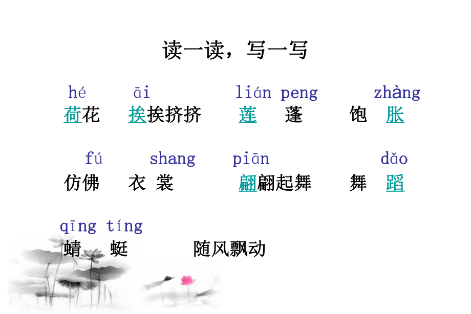 荷花 (12).ppt_第3页