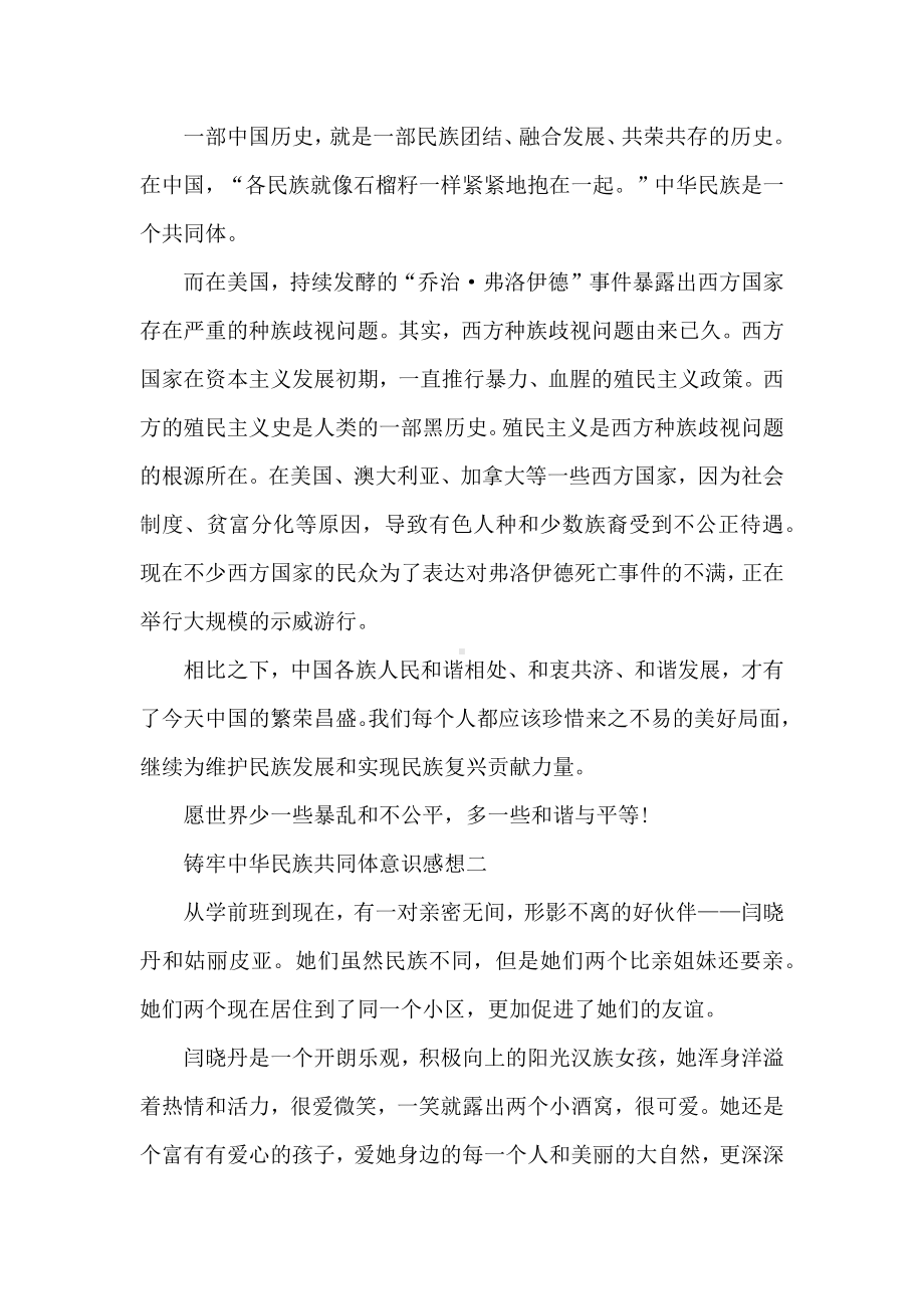 2021铸牢中华民族共同体意识感想.docx_第2页