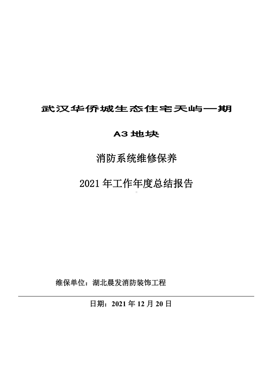 A-XX年消防系统维保养护年度总结报告.doc_第1页