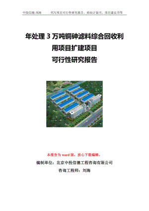 年处理3万吨铜砷滤料综合回收利用项目扩建项目可行性研究报告写作模板立项备案文件.doc