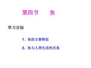 第四节鱼 .ppt