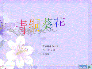 青铜葵花.ppt