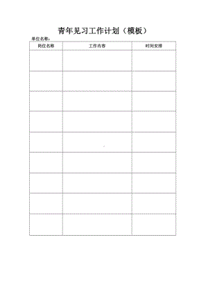 青年见习工作计划（模板）参考模板范本.doc