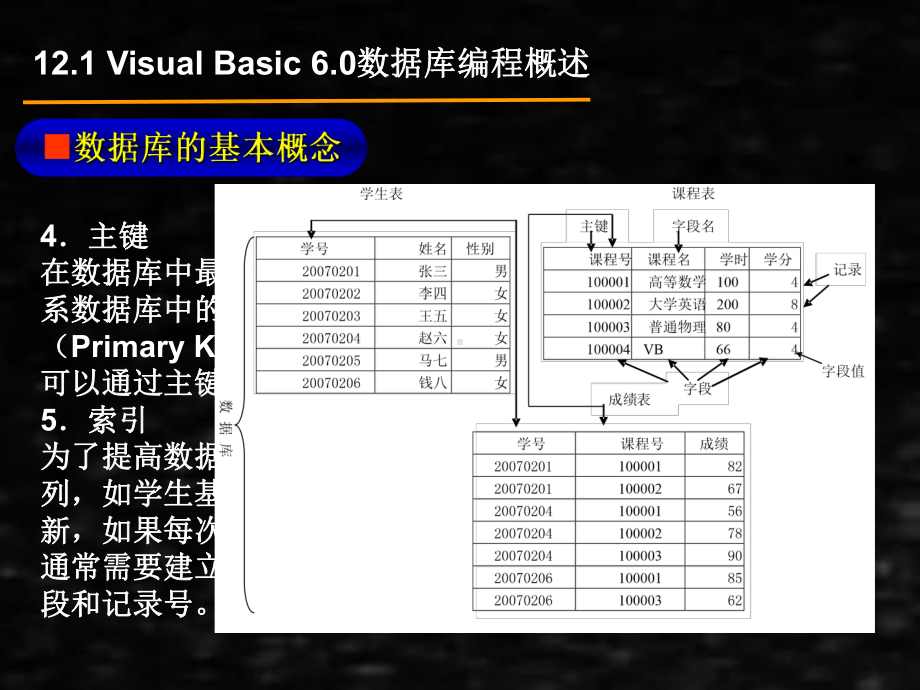 《vb第2版》课件第12章 数据库及ActiveX控件.ppt_第3页