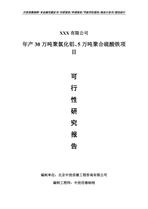 年产30万吨聚氯化铝、5万吨聚合硫酸铁可行性研究报告.doc