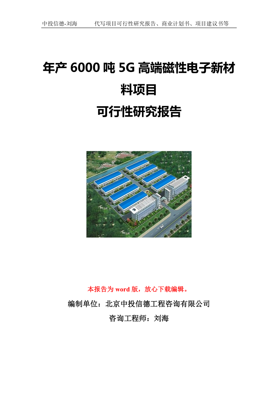 年产6000吨5G高端磁性电子新材料项目可行性研究报告写作模板立项备案文件.doc_第1页