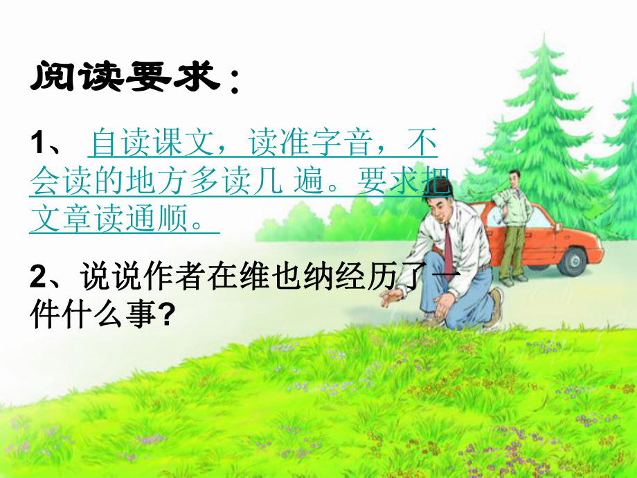 花的勇气课件 .ppt_第2页