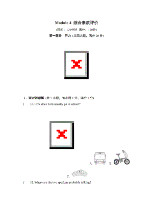 Module 4 Planes, ships and trains 综合素质评价.doc