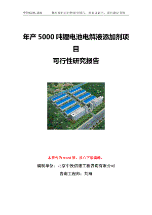 年产5000吨锂电池电解液添加剂项目可行性研究报告写作模板立项备案文件.doc