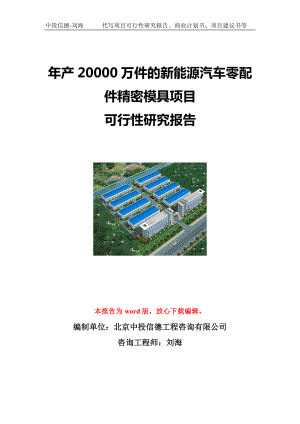 年产20000万件的新能源汽车零配件精密模具项目可行性研究报告写作模板立项备案文件.doc