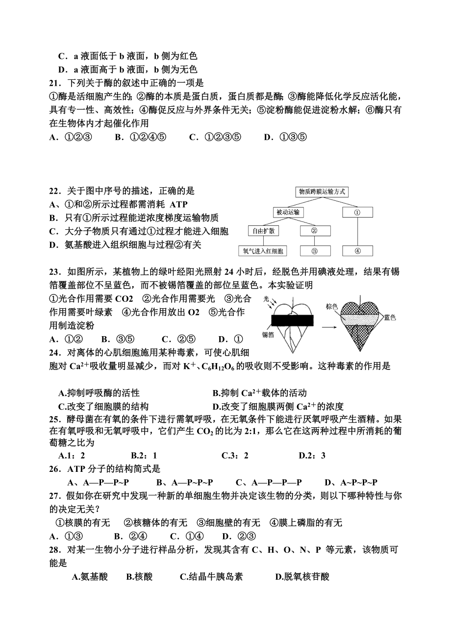 2021年高一下学期第一次阶段考试生物试题-含答案.doc_第3页