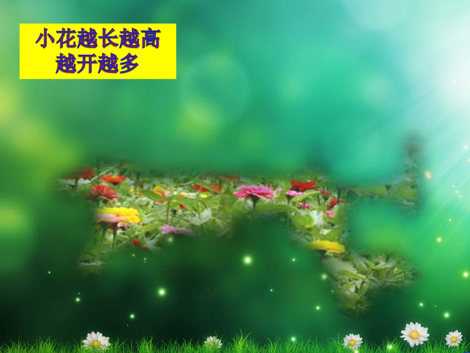 茂密的花.ppt_第2页