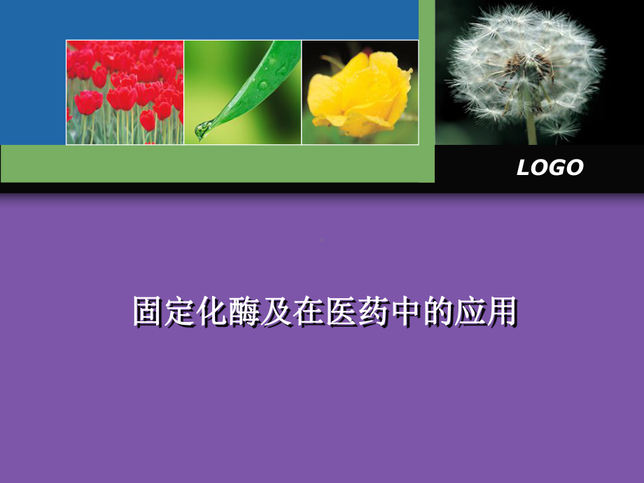 酶的固定化及在医药中的应用.ppt_第1页