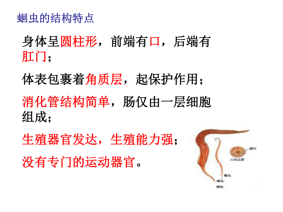 第二节线形动物和环节动物 .ppt_第3页