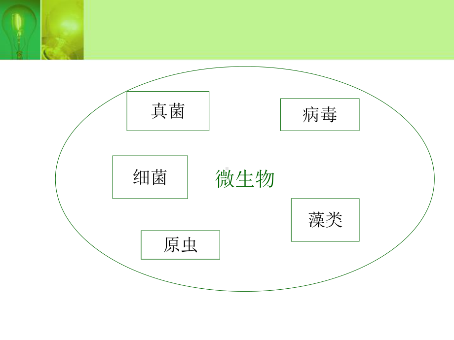 食品安全第二章.ppt_第2页