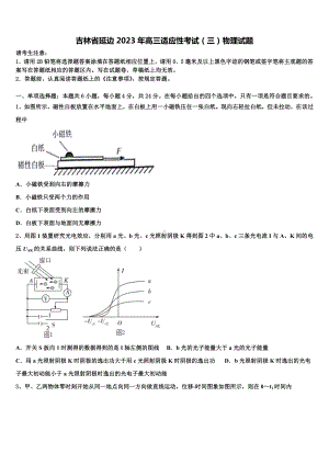 吉林省延边2023年高三适应性考试（三）物理试题.doc