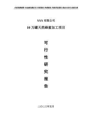 10万罐天然蜂蜜加工项目可行性研究报告建议书.doc