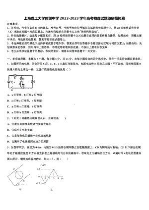 上海理工大学附属中学2022-2023学年高考物理试题原创模拟卷.doc