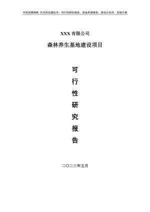 森林养生基地建设可行性研究报告.doc