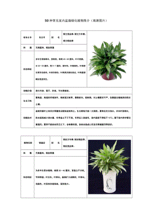 50种常见室内绿化植物介绍.doc