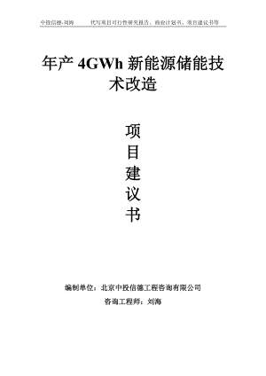 年产4GWh新能源储能技术改造项目建议书-写作模板.doc