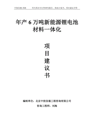 年产6万吨新能源锂电池材料一体化项目建议书-写作模板.doc