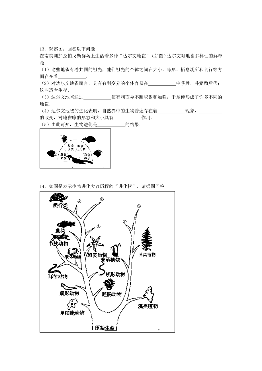 [推荐学习]八年级生物上学期期中试卷(含解析)-苏教版2.doc_第3页