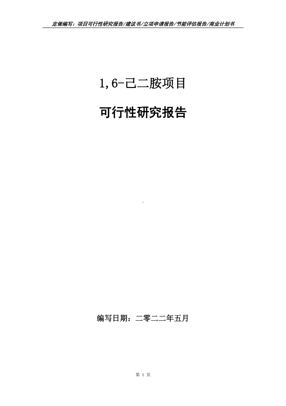 1,6-己二胺项目可行性报告（写作模板）.doc_第1页