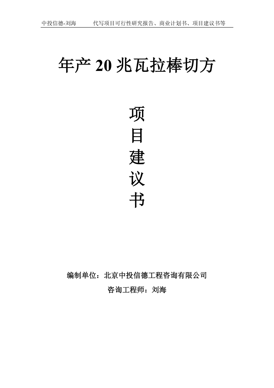 年产20兆瓦拉棒切方项目建议书-写作模板.doc_第1页