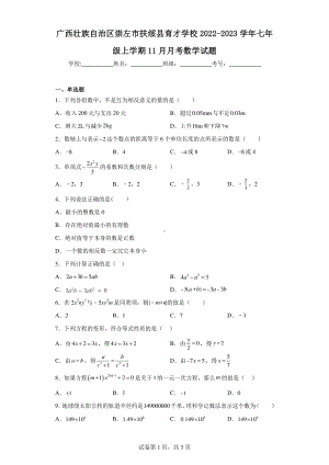 广西壮族自治区崇左市扶绥县育才学校2022-2023学年七年级上学期11月月考数学试题.pdf