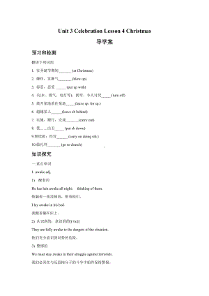 Unit-3-Celebration-Lesson-4-Christmas-导学案-北师大必修1精品.doc