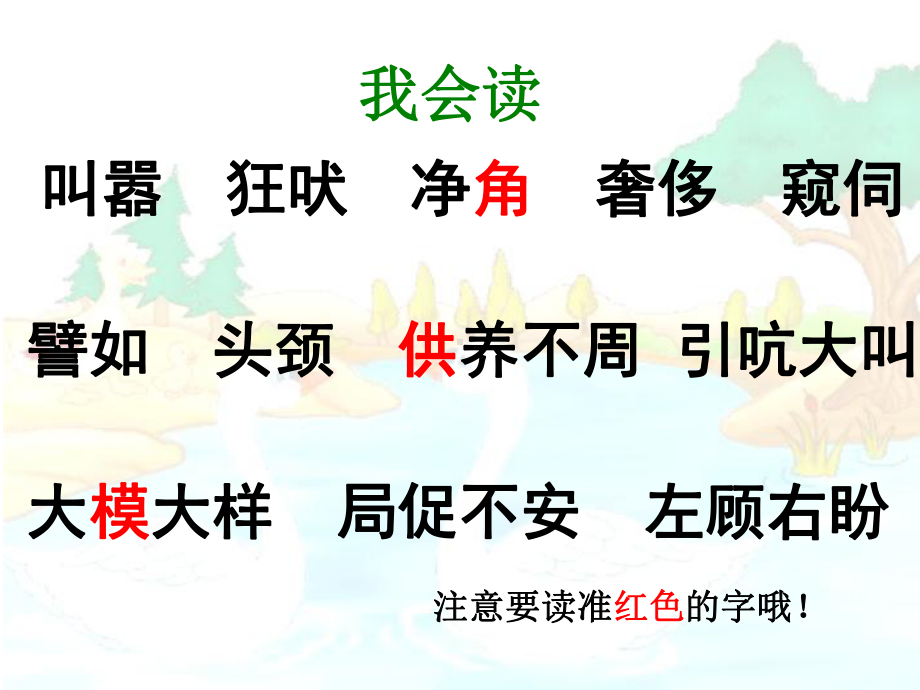 １３白鹅.ppt_第2页