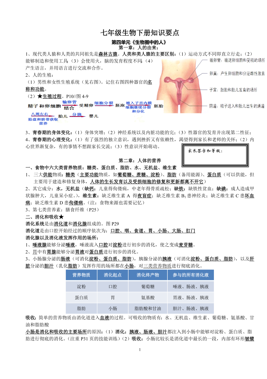 人教版七年级生物下册知识要点.doc_第1页