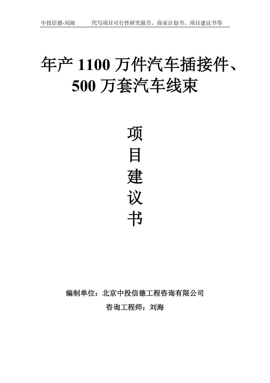 年产1100万件汽车插接件、500万套汽车线束项目建议书-写作模板.doc_第1页